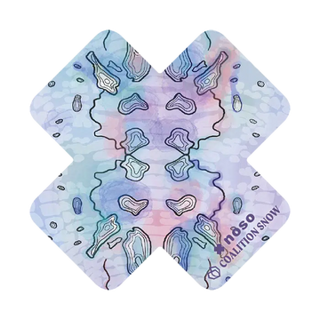 Better Lake Than Never X By Coalition Snow x NoSo