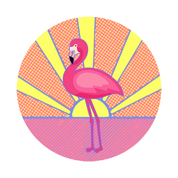 Flamingo